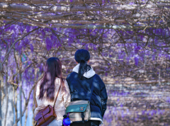 让旅客近距离感触